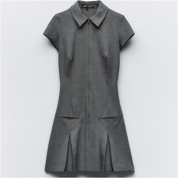 Zara plated dress - Picture 6 of 6